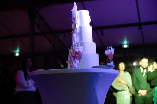 Mariage-Nour-et-Juan-Soiree-290