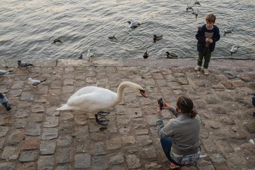 The Street Sessions vol2020