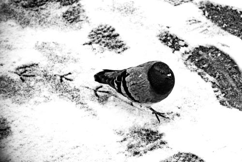 The Street Sessions vol2021