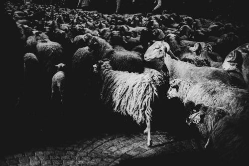 The Street Sessions vol2022