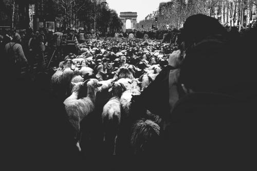 The Street Sessions vol2022