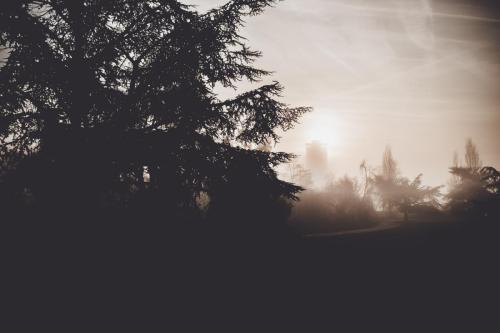 The Street Sessions vol2022