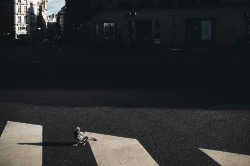 The Street Sessions vol2022